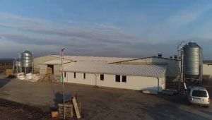 Buzău: Investiţii de peste 7,3 milioane euro într-o nouă fermă de reproducţie suină